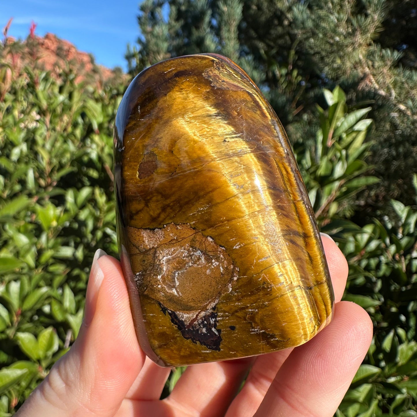 Tiger Eye Free Form Small TEFF1