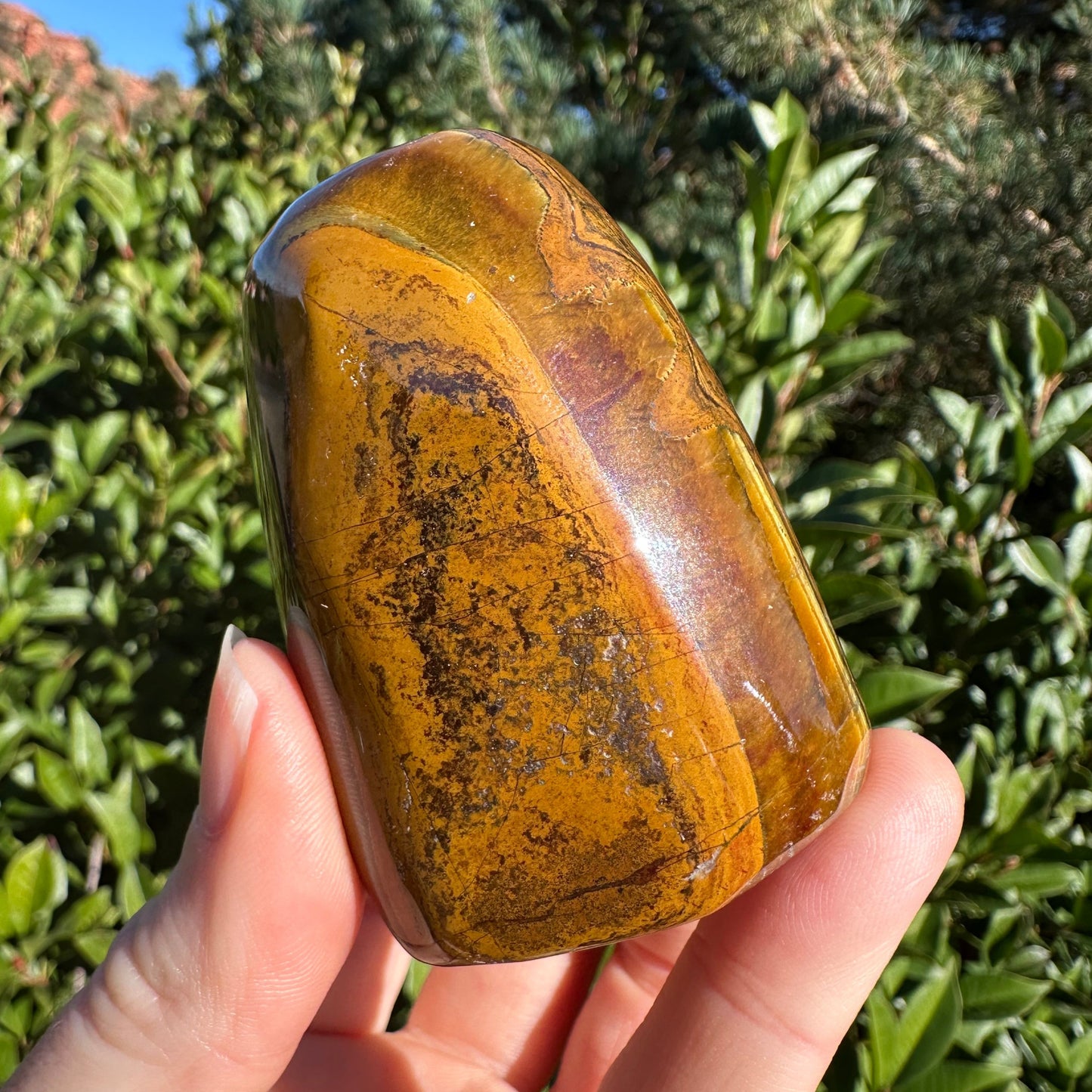 Tiger Eye Free Form Small TEFF1