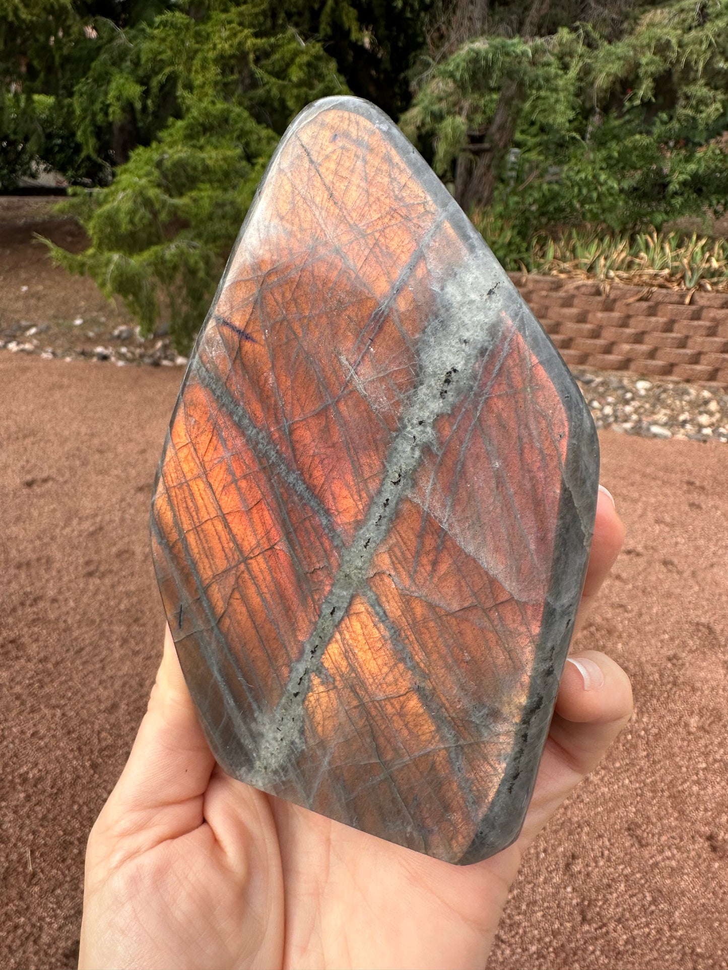 Labradorite, Red/Pink Flame Free Form LB369