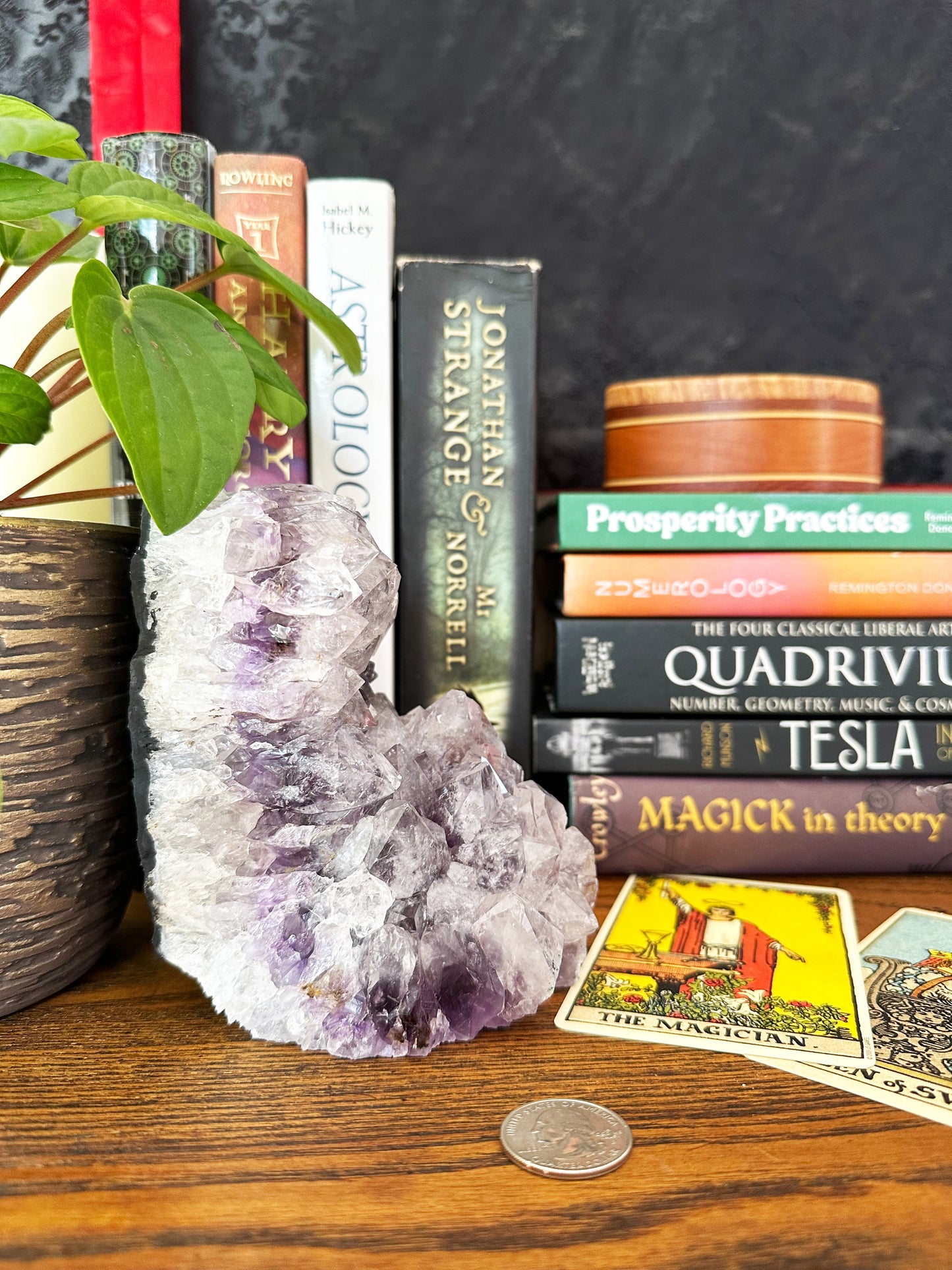 Amethyst Cluster AM517
