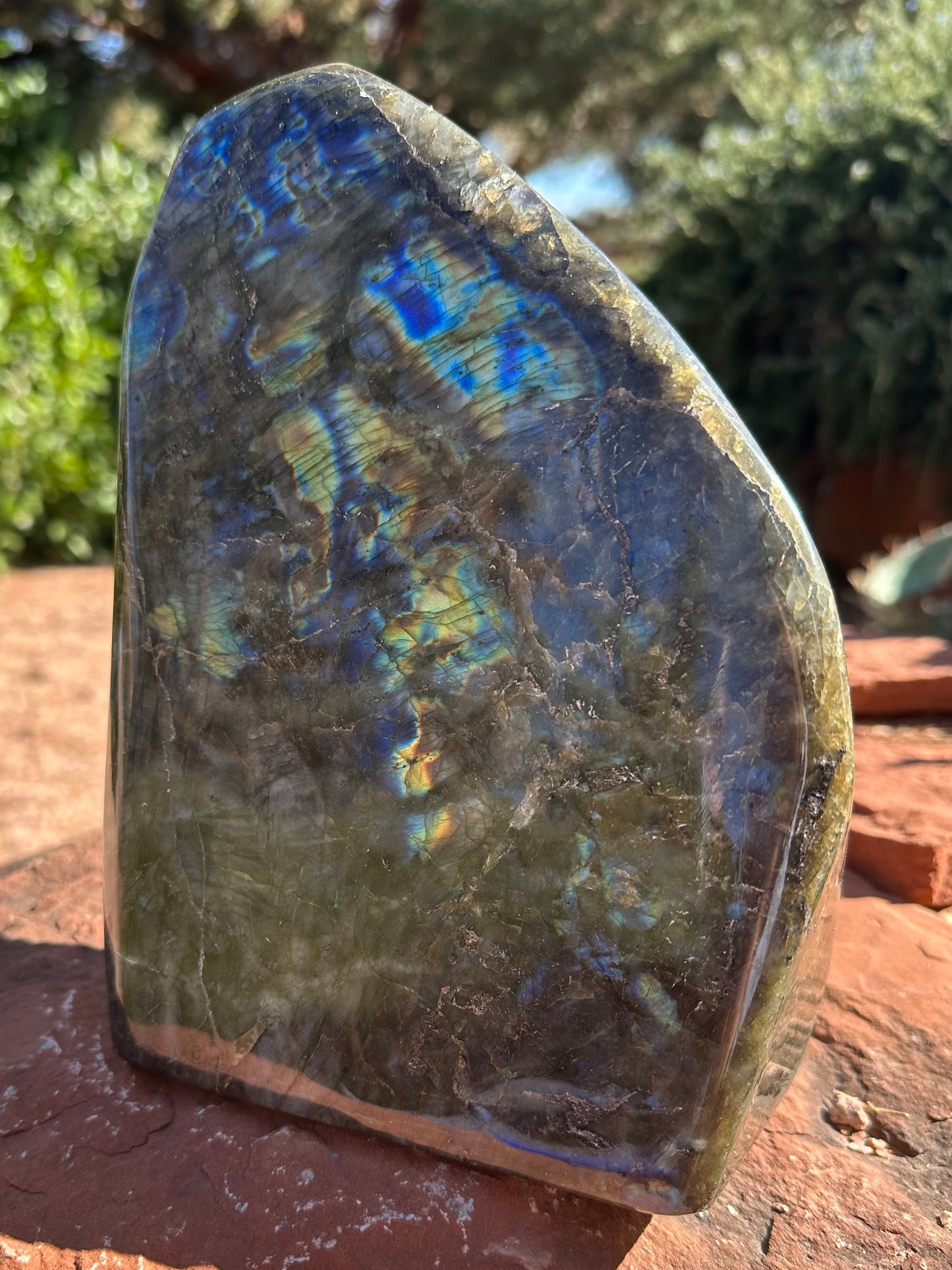 Labradorite Free Form LB367