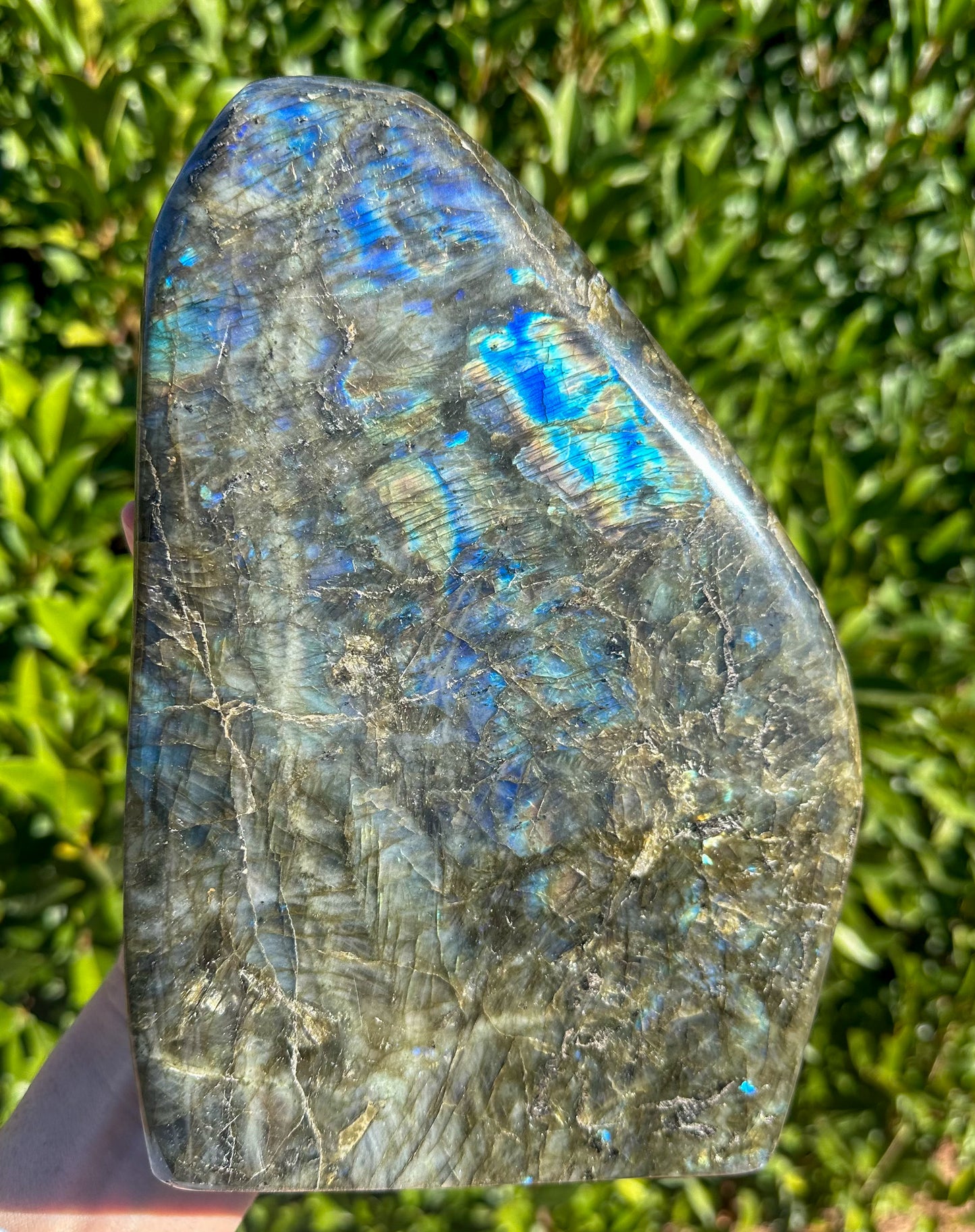 Labradorite Free Form LB367