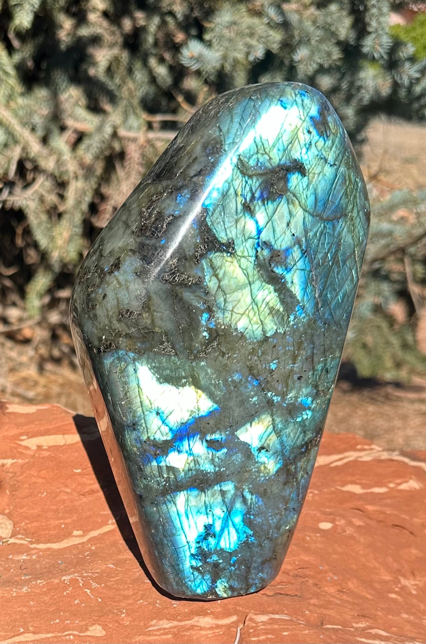 Labradorite Free Form LB363
