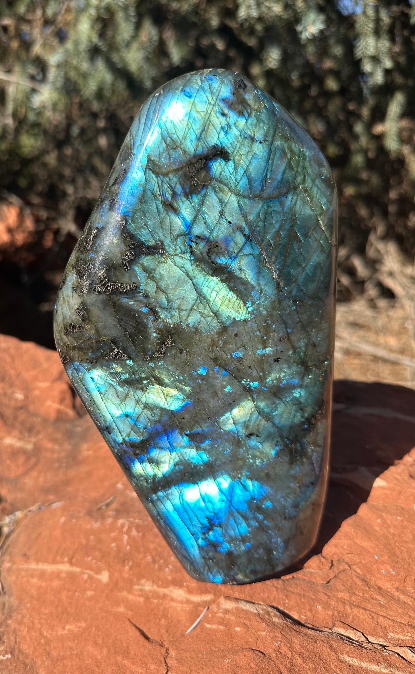 Labradorite Free Form LB363
