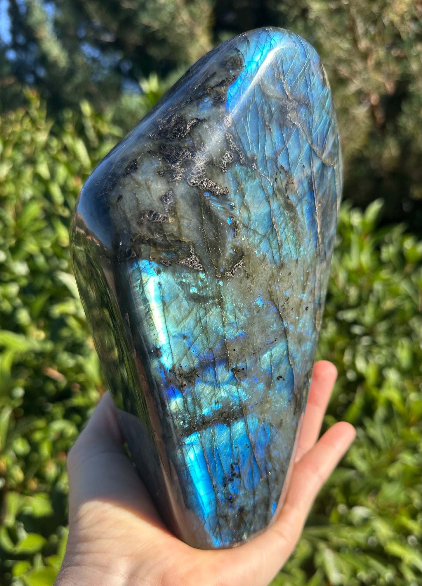 Labradorite Free Form LB363