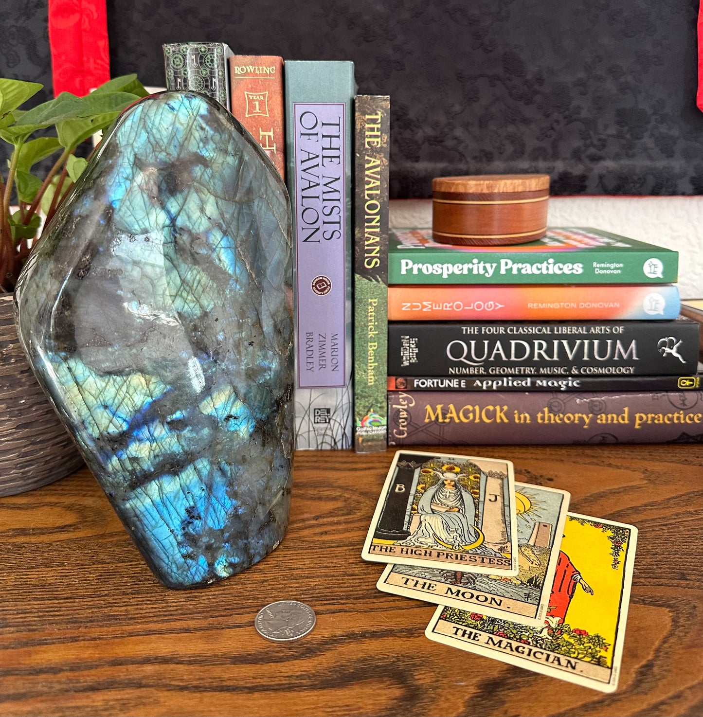 Labradorite Free Form LB363