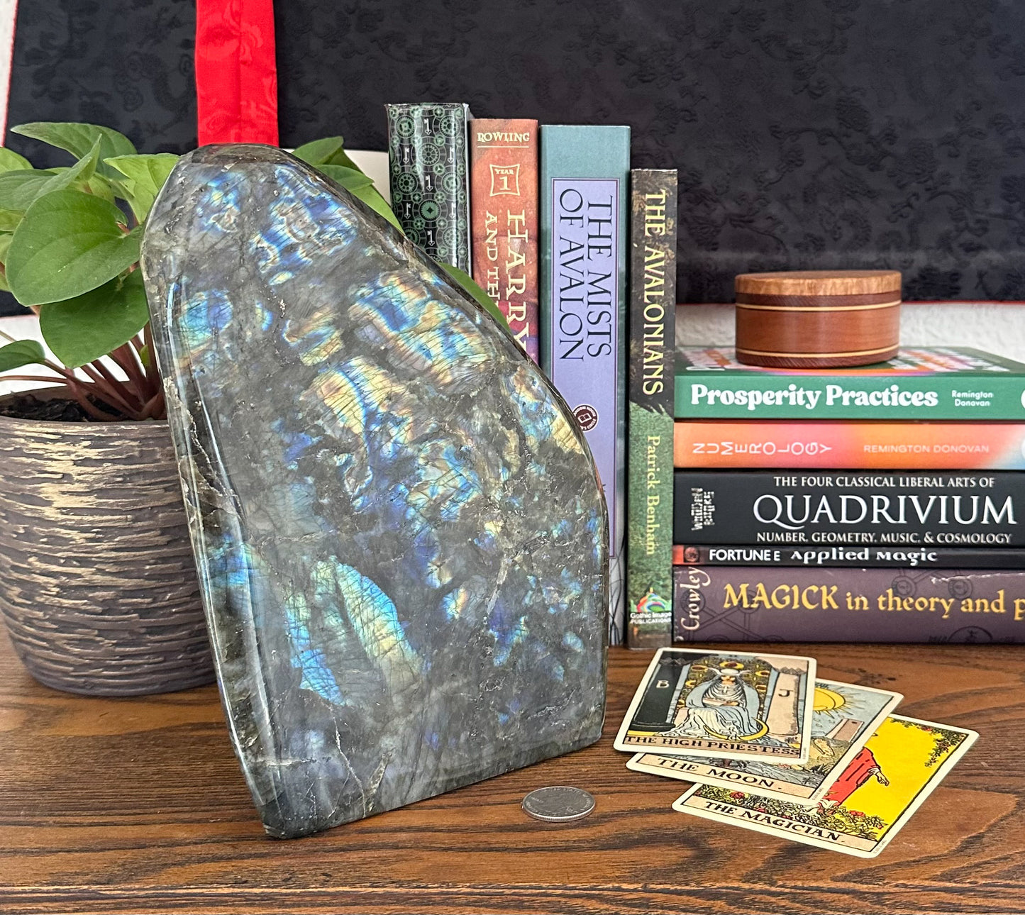 Labradorite Free Form LB367