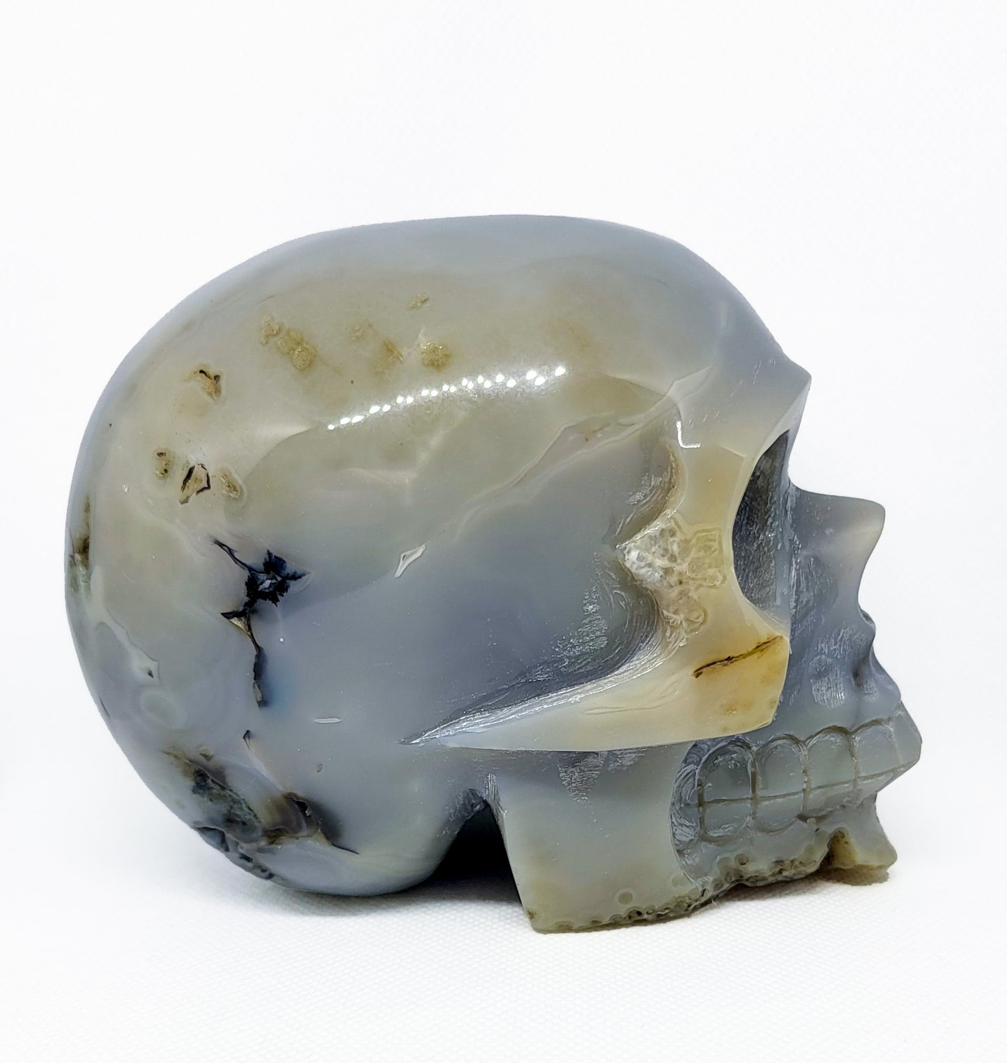 Skull, Agate with Druzy SKL394