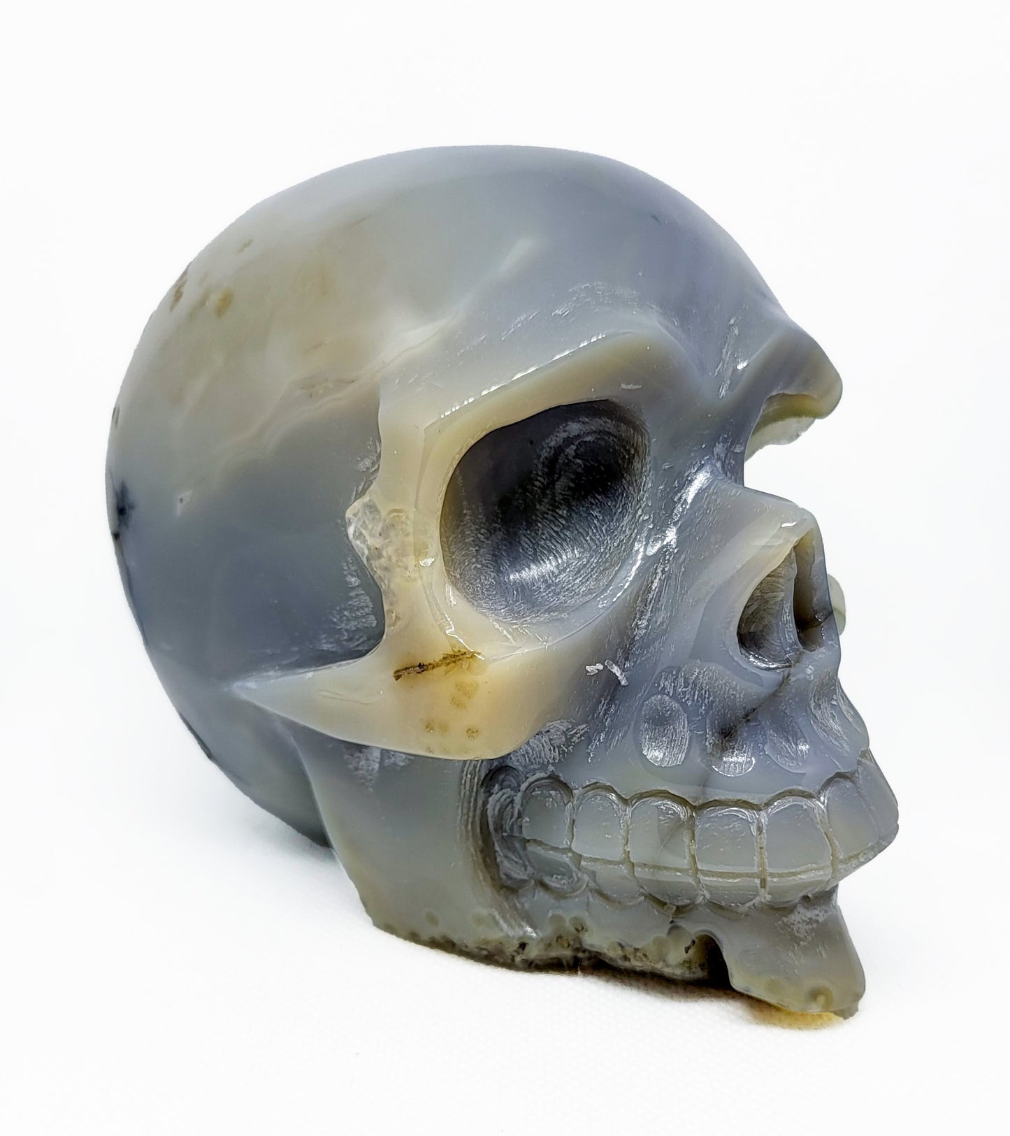 Skull, Agate with Druzy SKL394