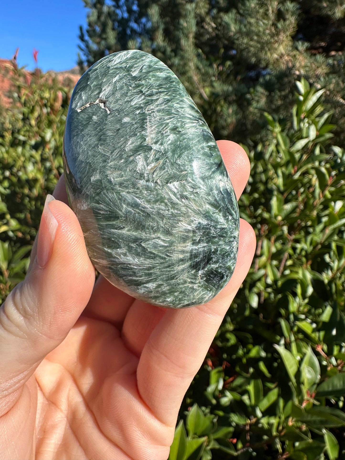 Seraphinite SERA359