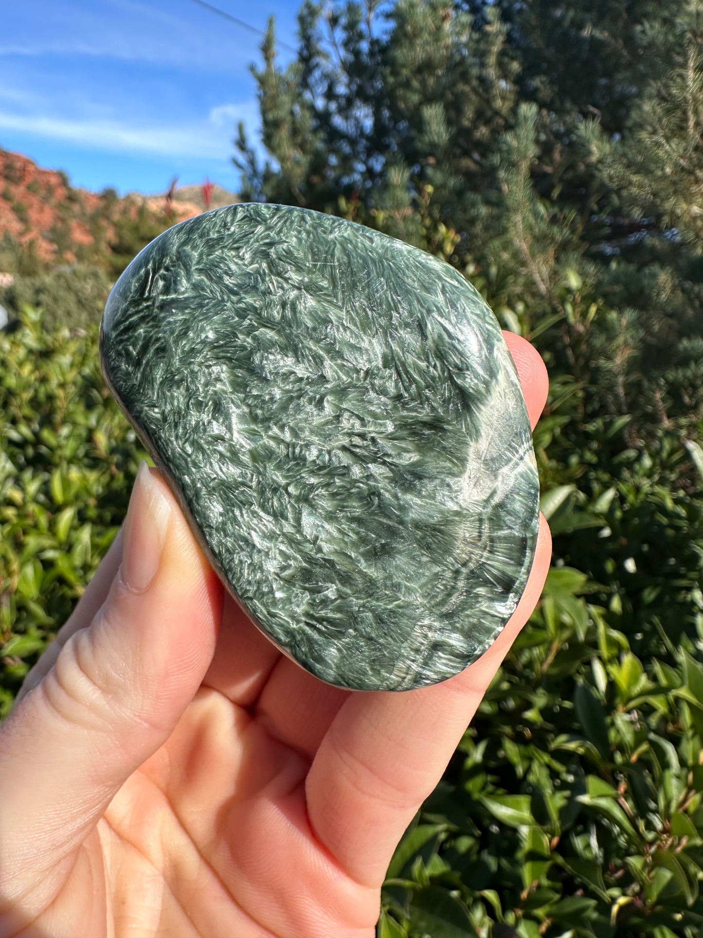 Seraphinite SERA334