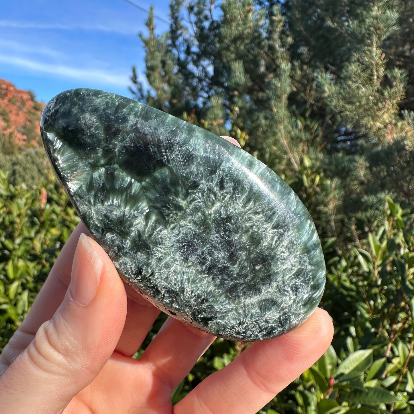 Seraphinite SERA361