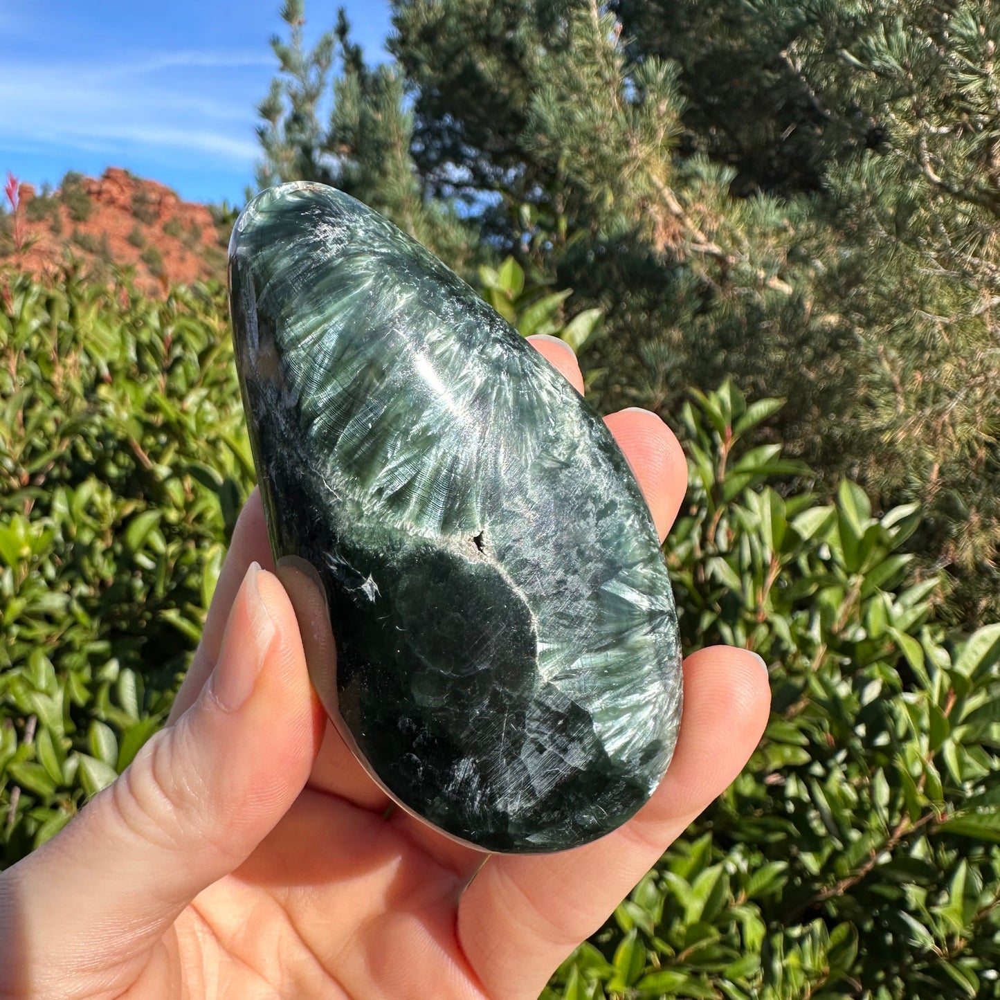 Seraphinite SERA361