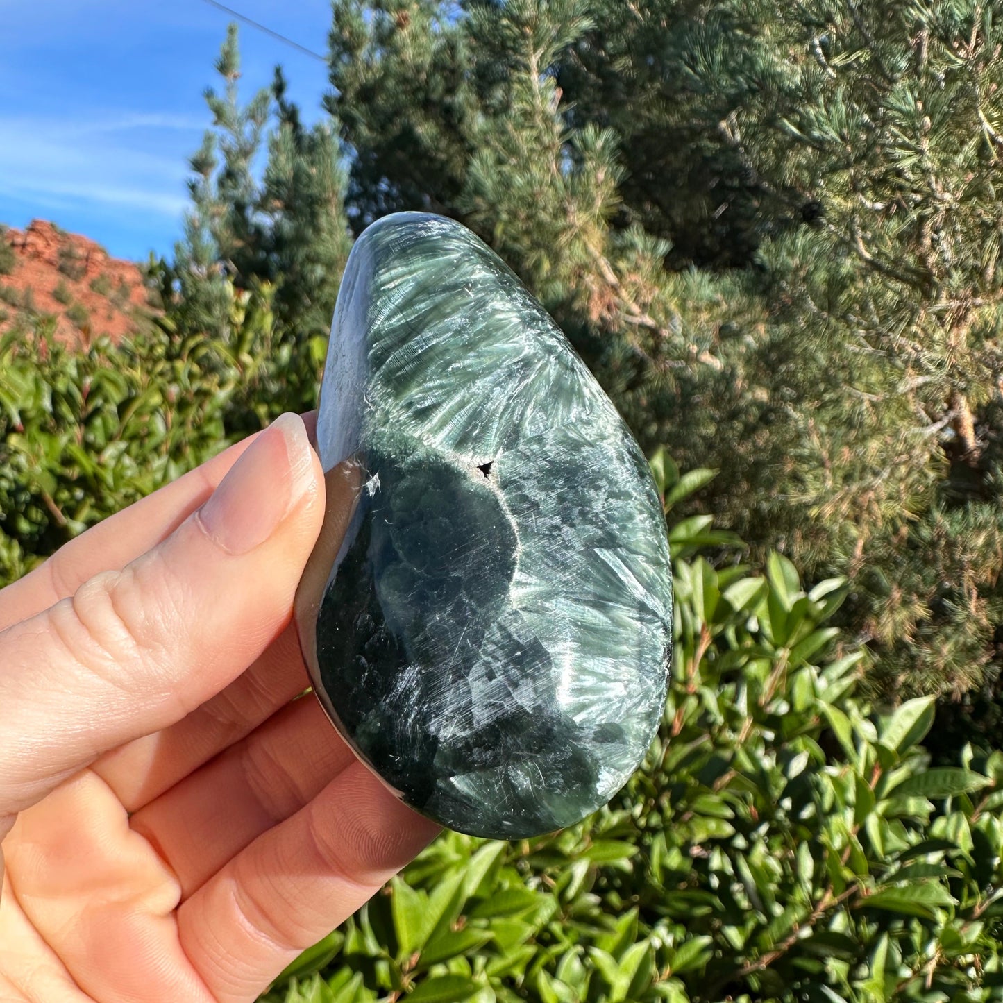 Seraphinite SERA361