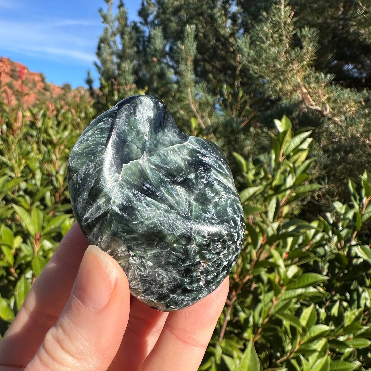 Seraphinite SERA341