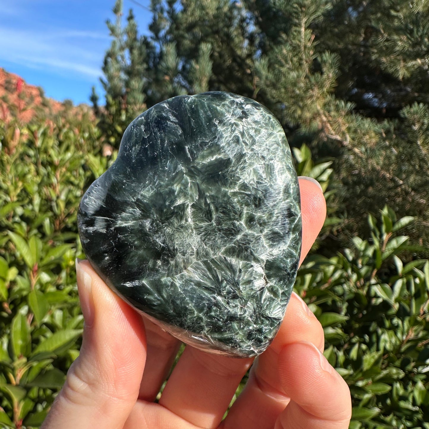 Seraphinite SERA341