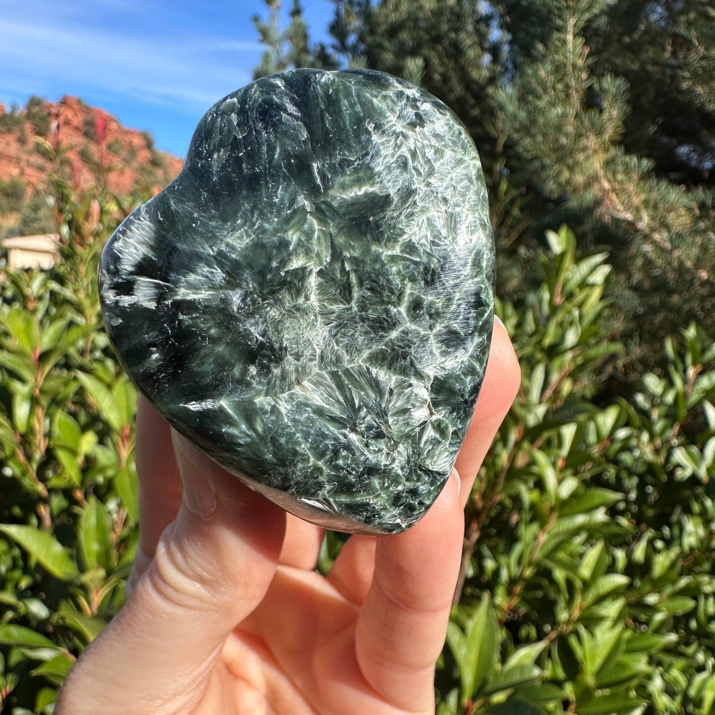 Seraphinite SERA341