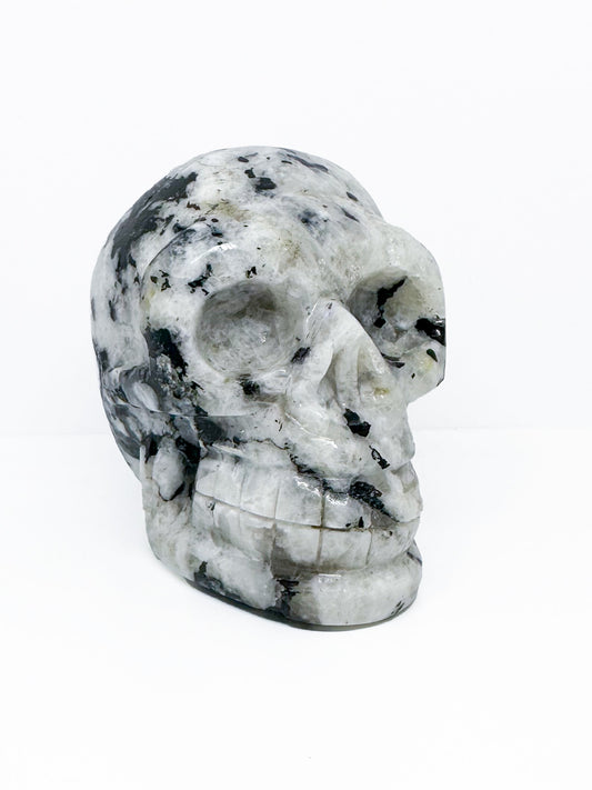 Skull, Moonstone SKL427