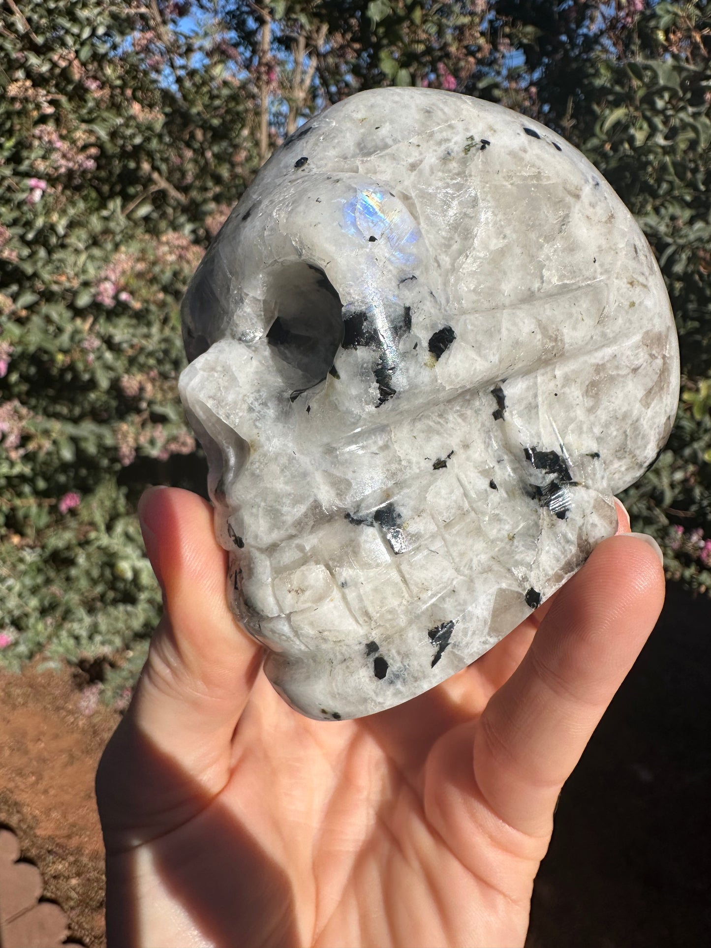 Skull, Moonstone SKL427