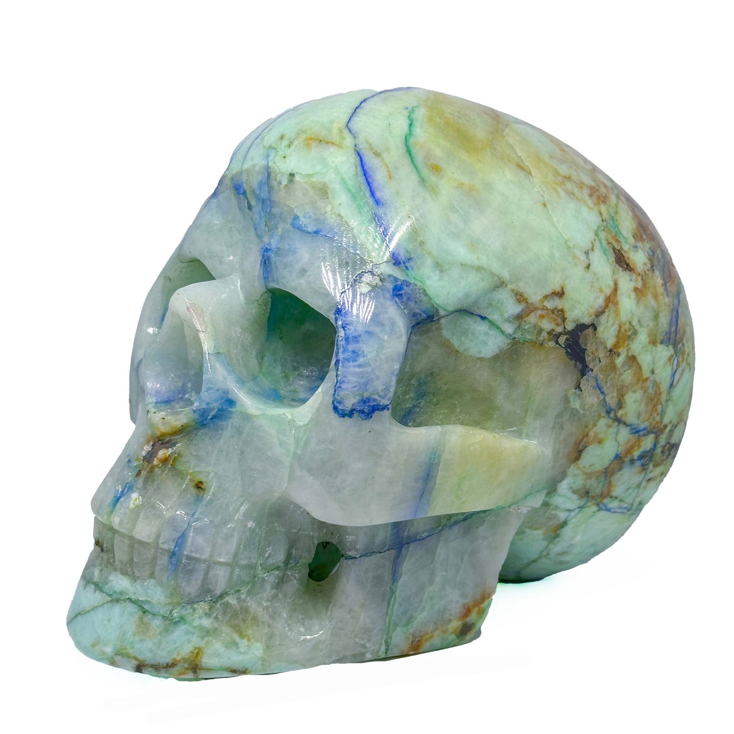 Skull, Azurite with Malachite SKL370