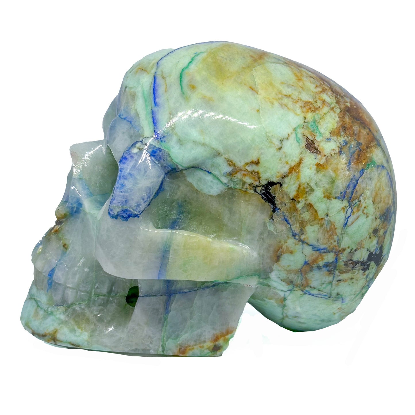 Skull, Azurite with Malachite SKL370