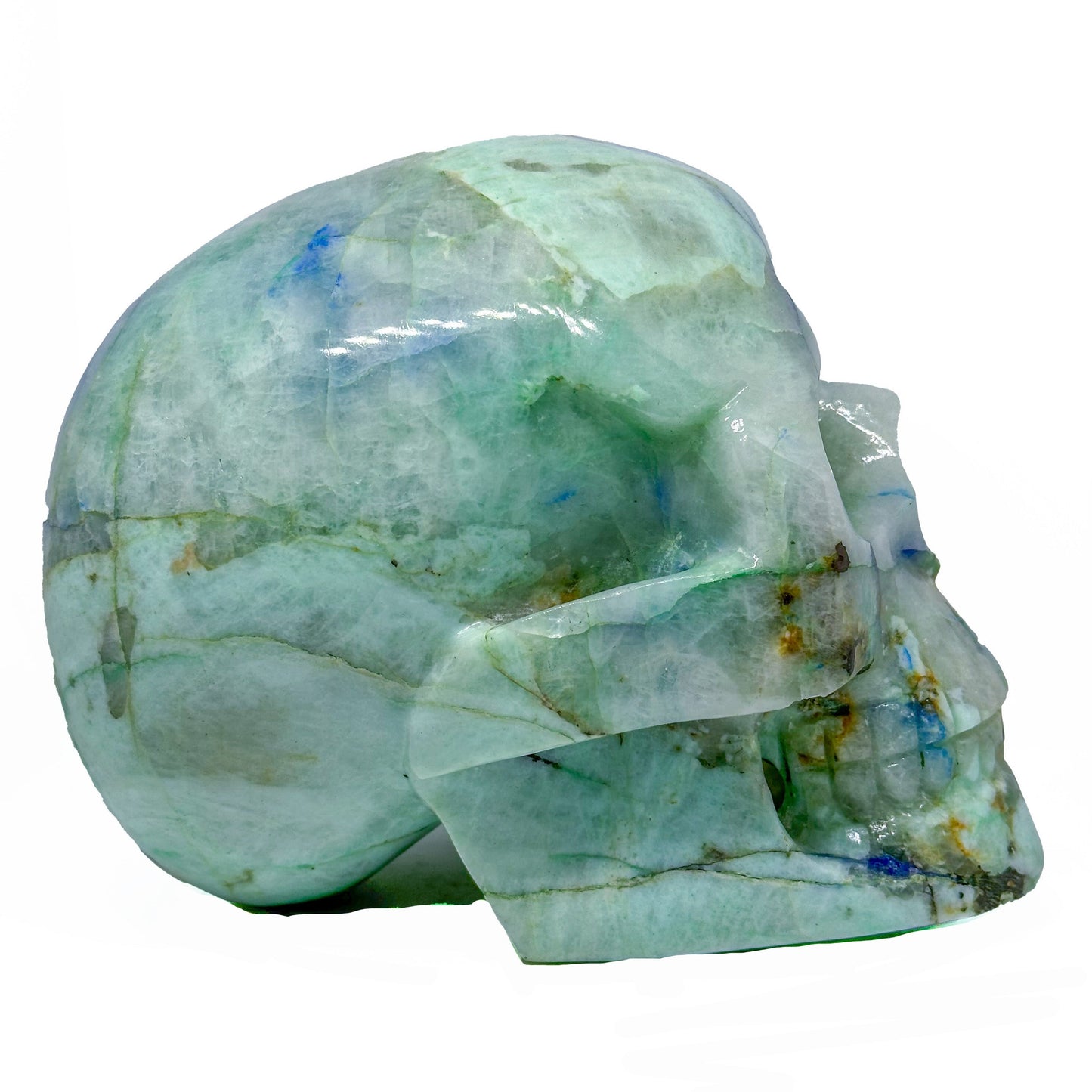 Skull, Azurite with Malachite SKL370